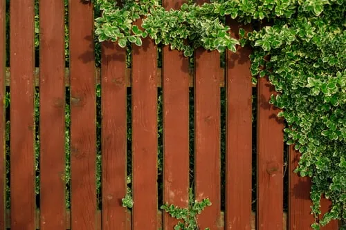 Wood & Privacy Fences